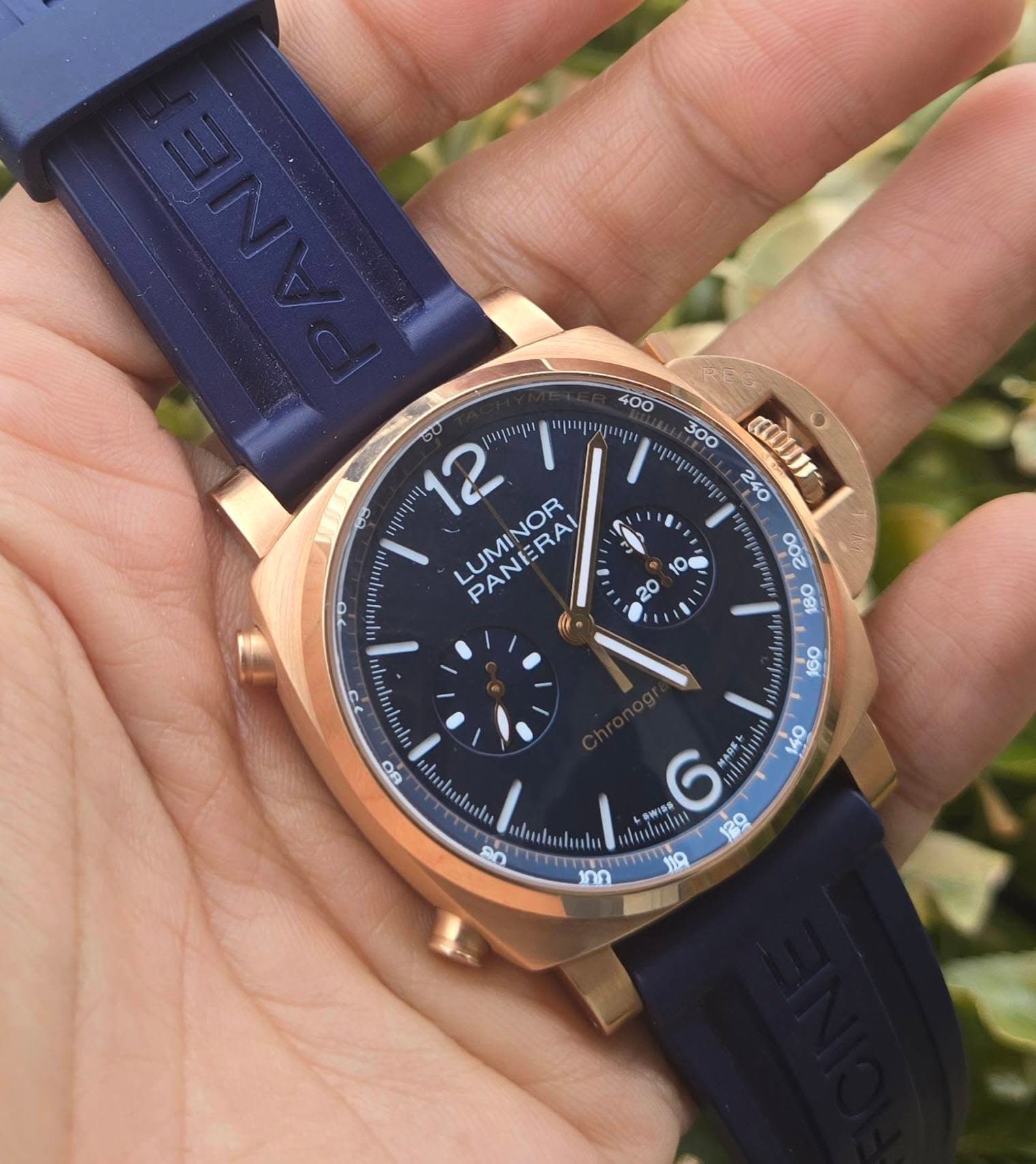 May be an image of wrist watch and text