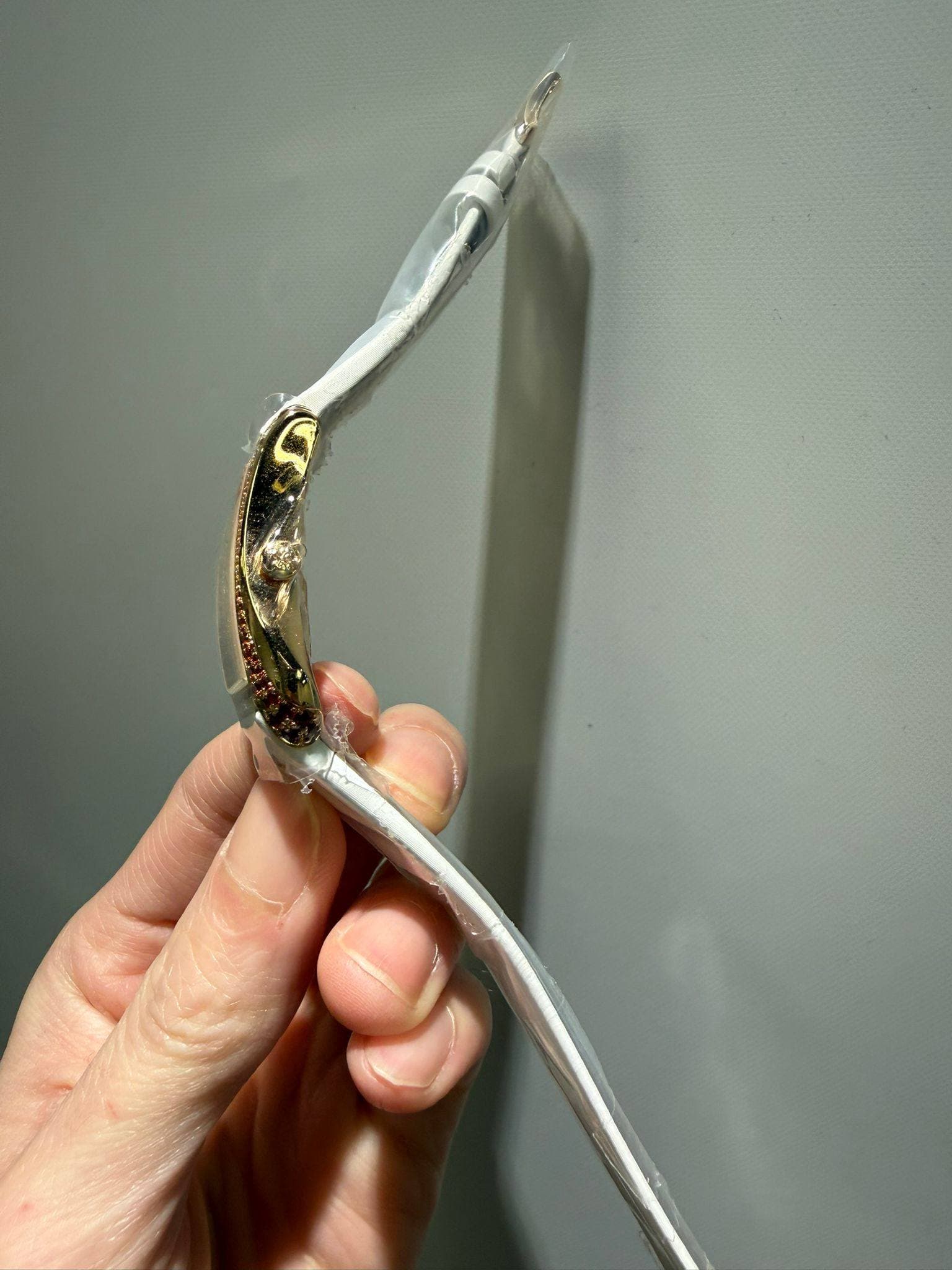 May be an image of snake