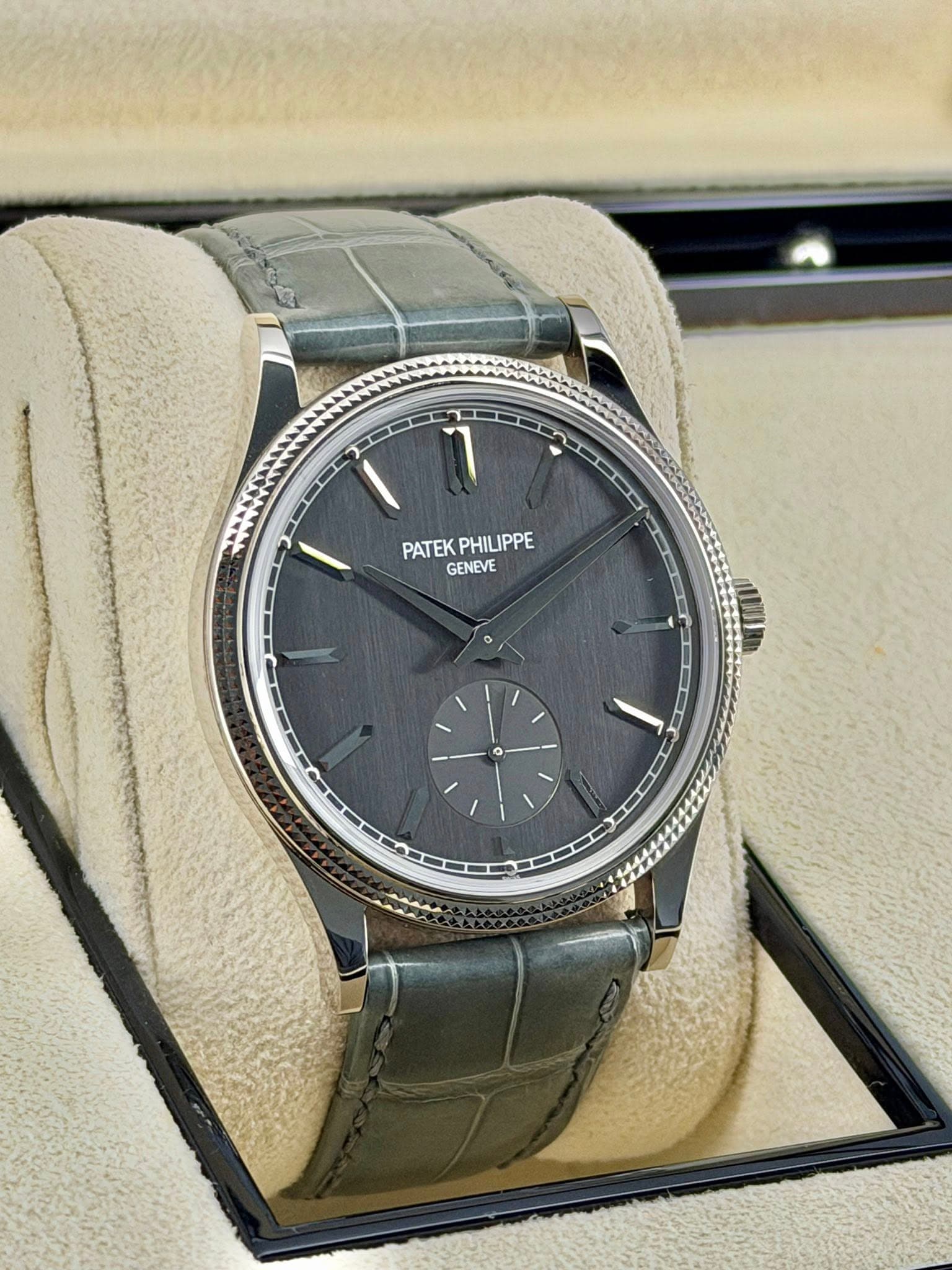 May be an image of wrist watch and text that says 'I PATEK PHILIPPE PATEKPHILIPPE PHIL GENEVE'