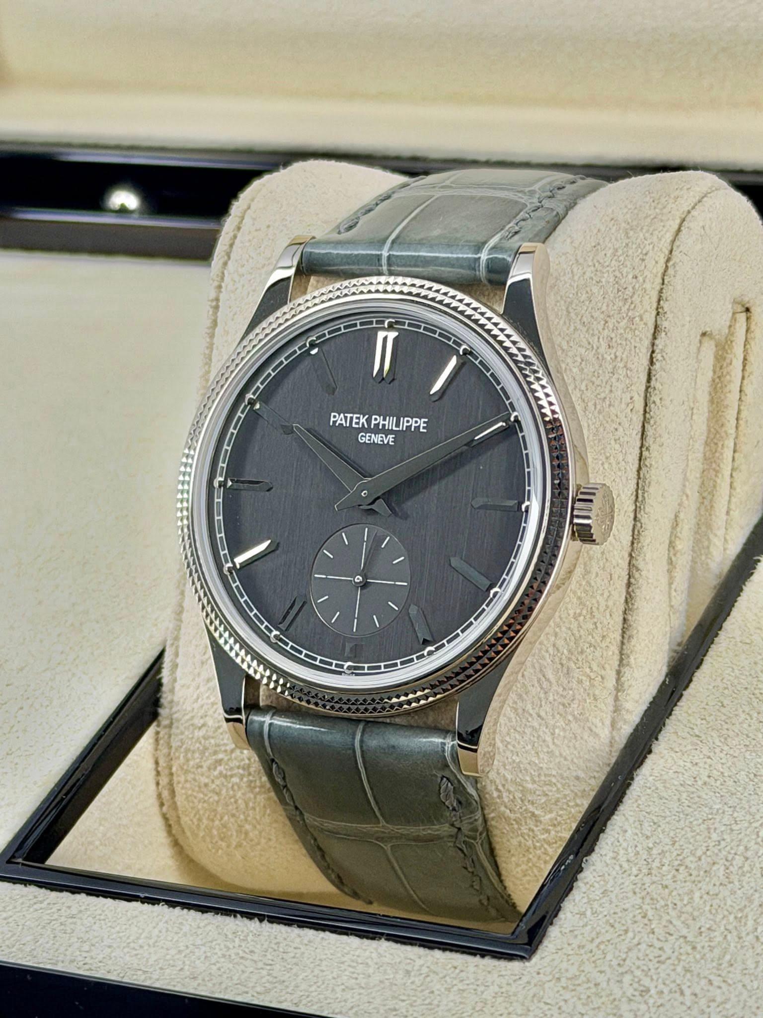 May be an image of wrist watch and text that says 'PATEKPHILIPPE PATEK PHILIPPE GENEVE 1 0 I0I'