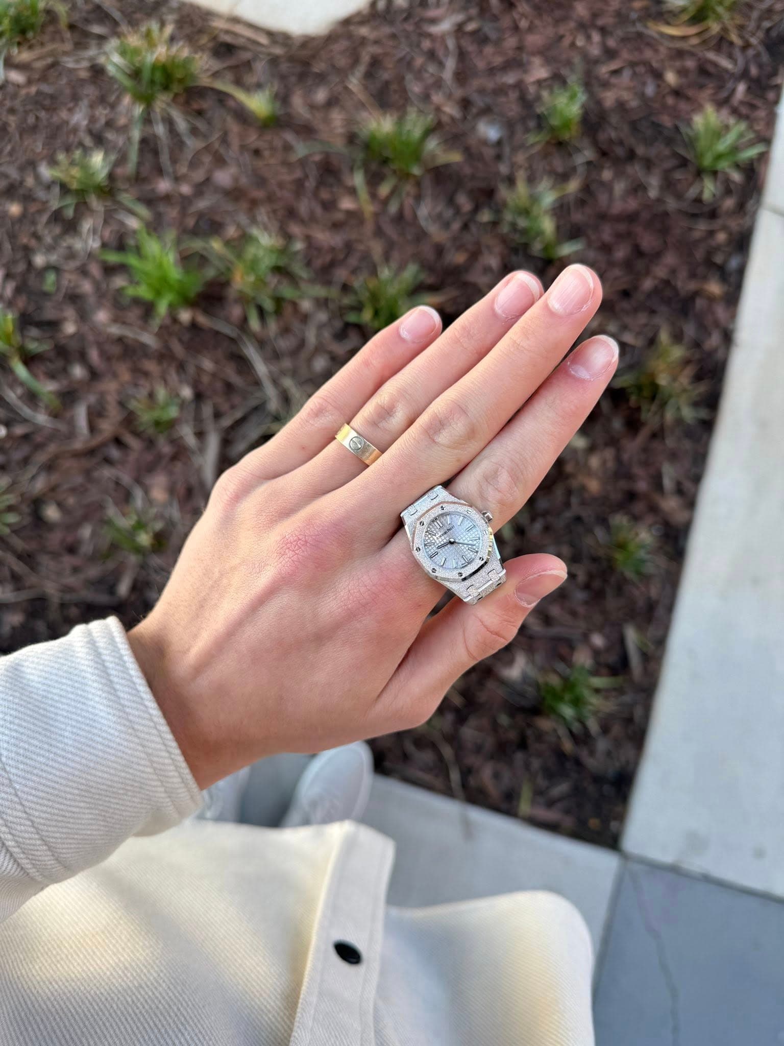 May be an image of ring