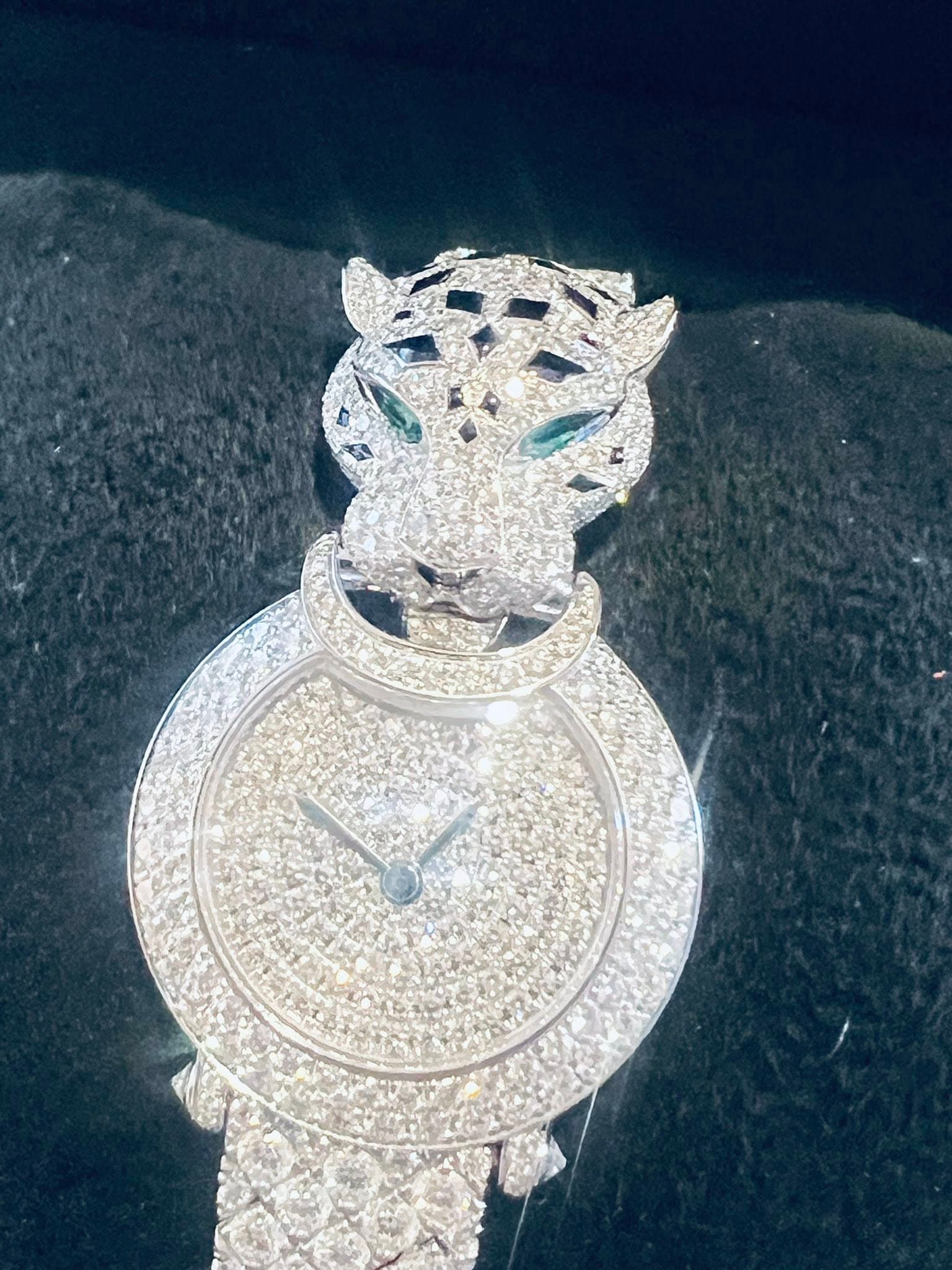May be an image of snow leopard, jewelry and wrist watch