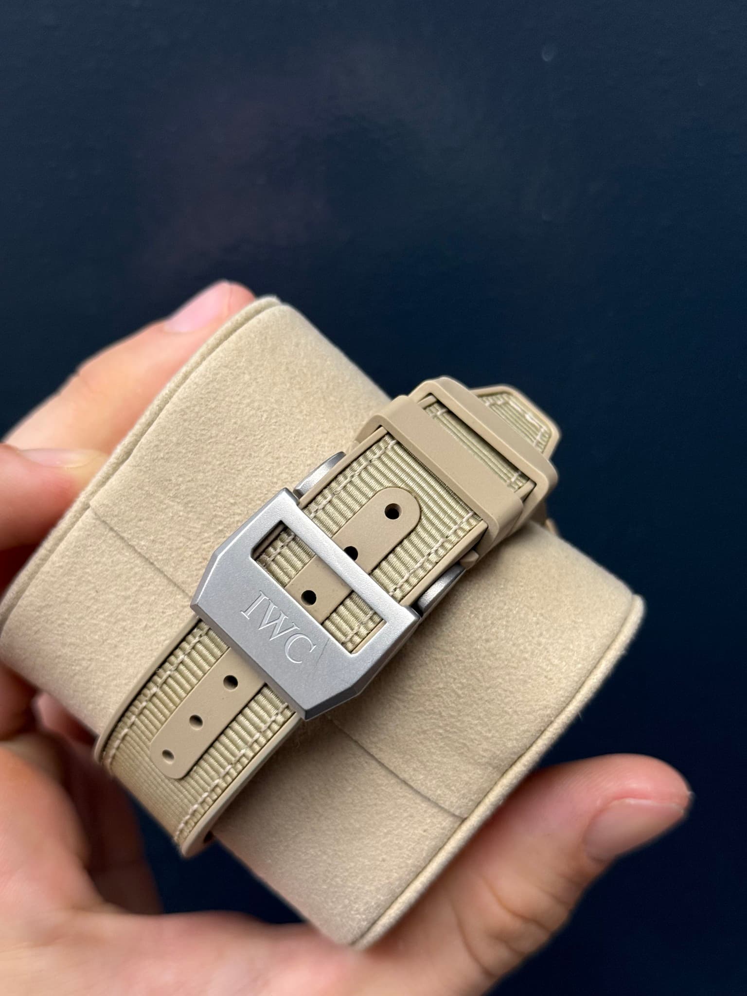 May be an image of wrist watch