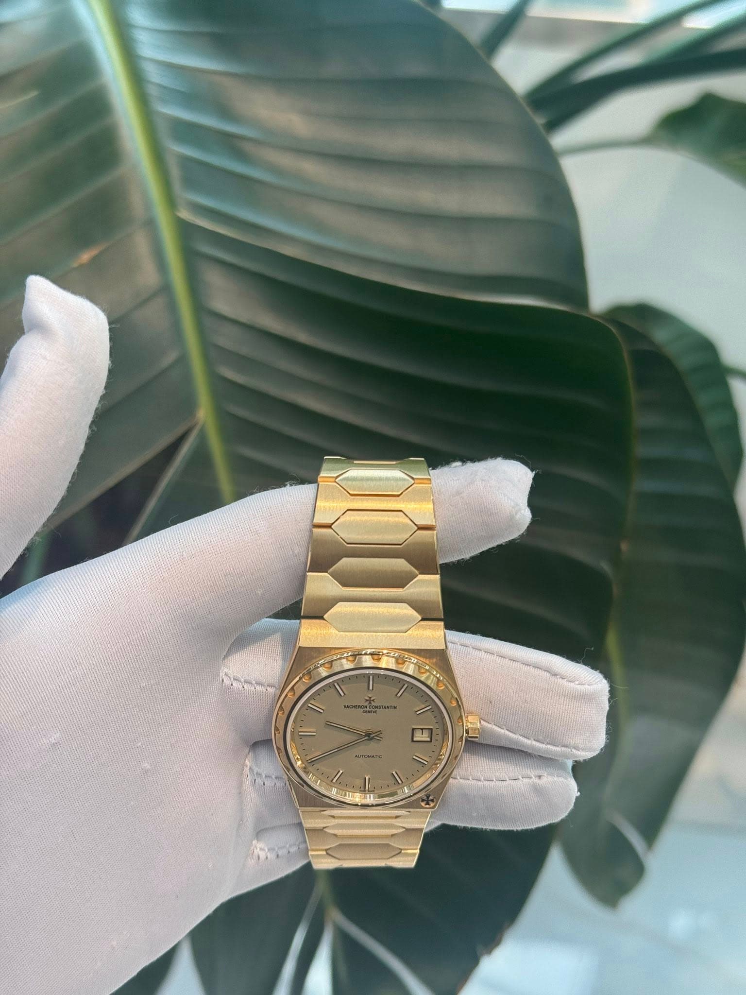 May be an image of wrist watch and text