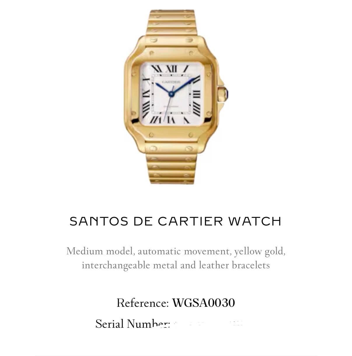 May be an image of wrist watch and text that says 'NI N CARETIN V I II 10I IA SANTOS DE CARTIER WATCH Medium model, automatic movement, yellow gold, interchangeable metal and…