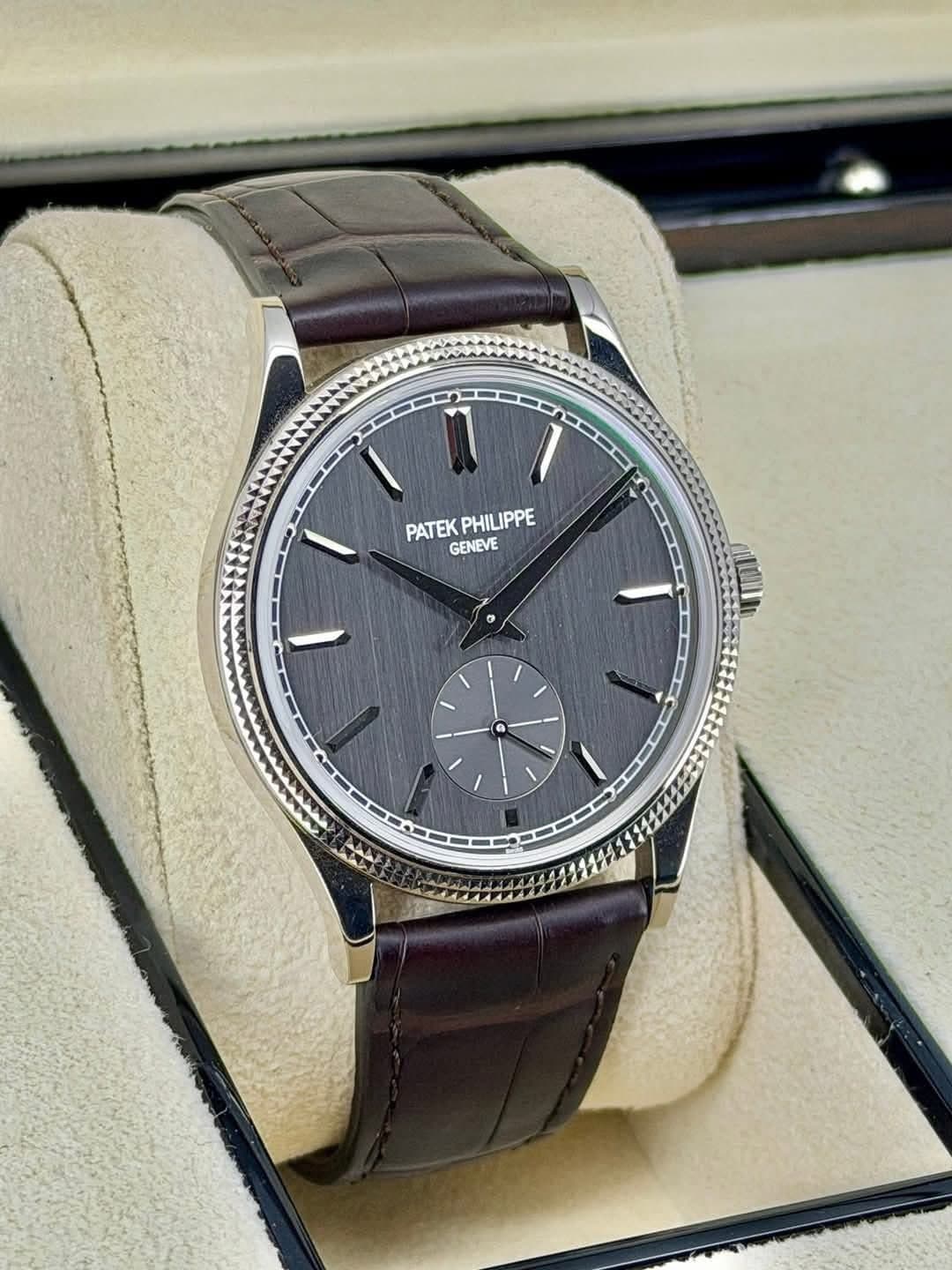 May be an image of wrist watch and text that says 'PATEK PATEKPHILIPPE PHILIPPE GENEVE - し NE A'