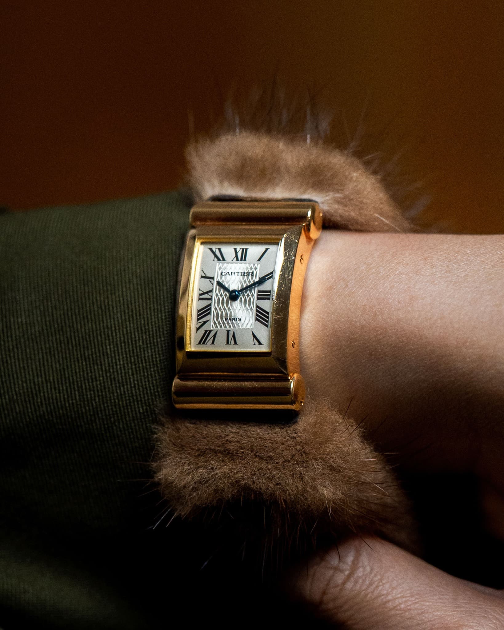 May be an image of sable coat and wrist watch