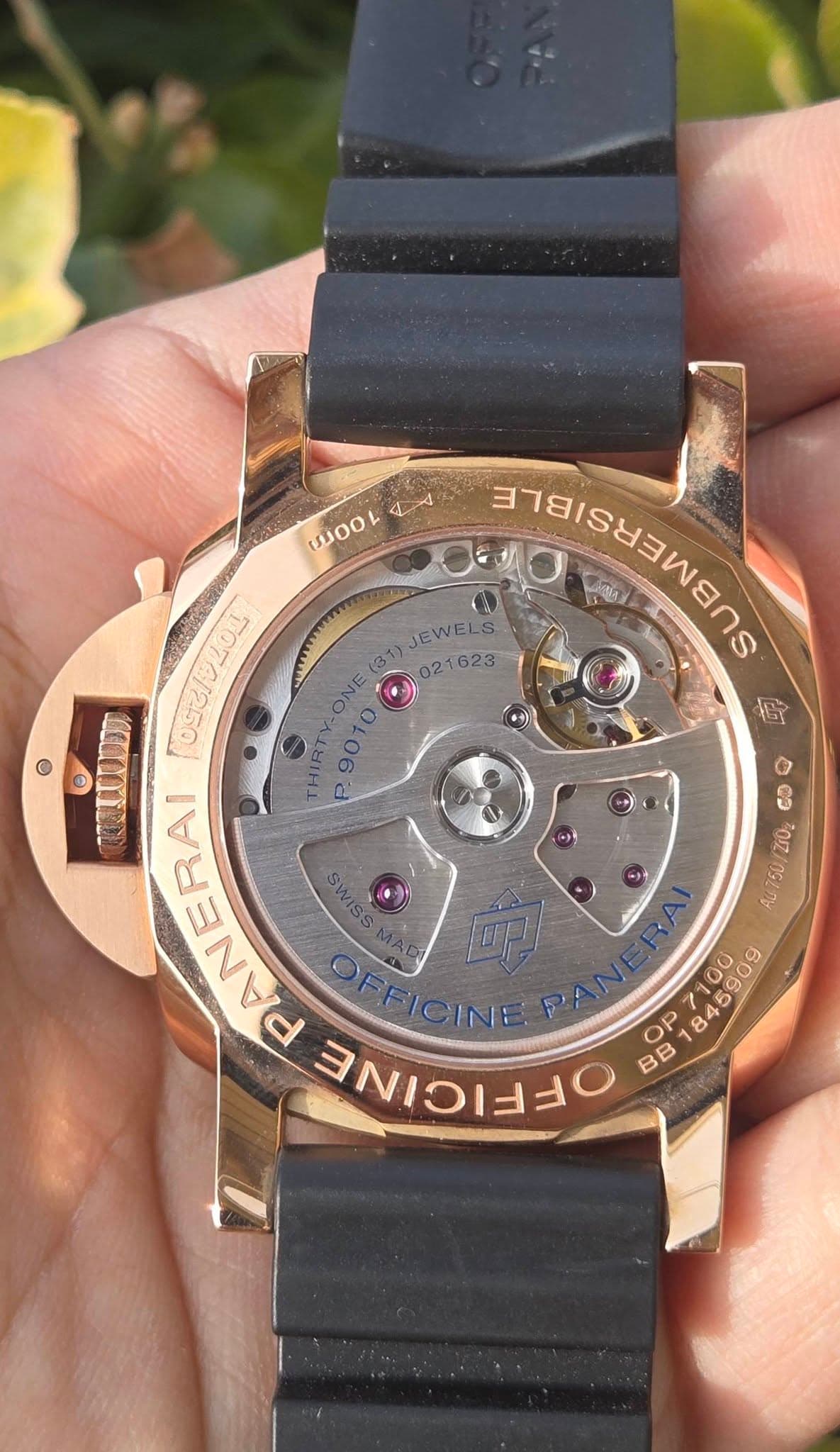 May be an image of wrist watch and text