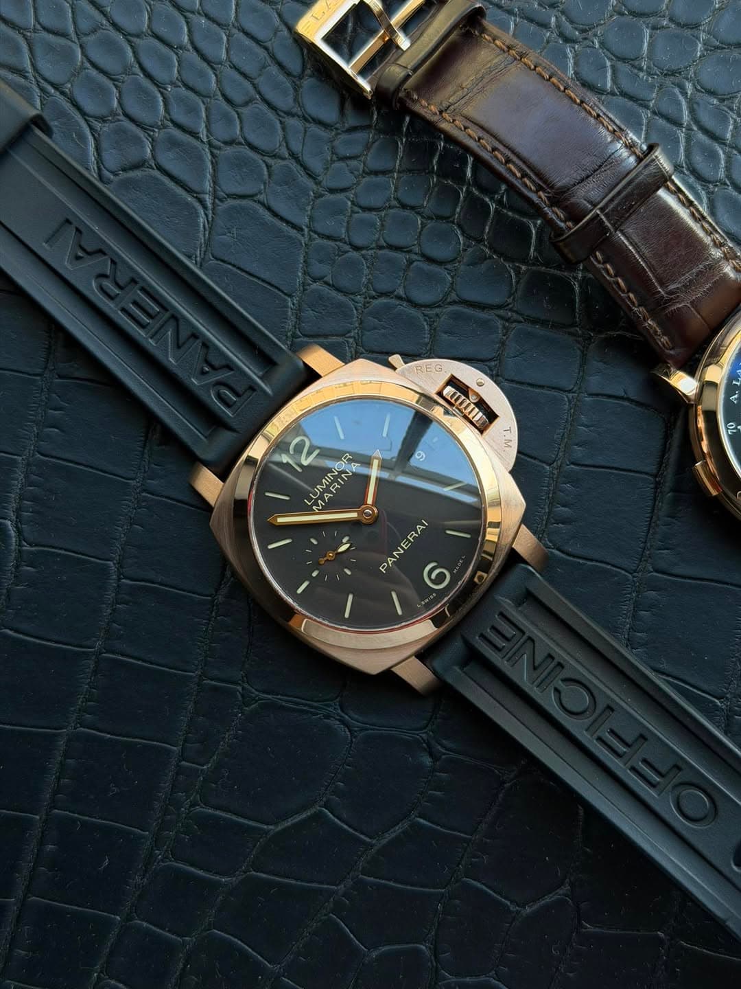 May be an image of leather, wrist watch and text that says 'REG CIUUE 0 o 2 IMIN U MA JMING AMI MIN " PANERA RAI'