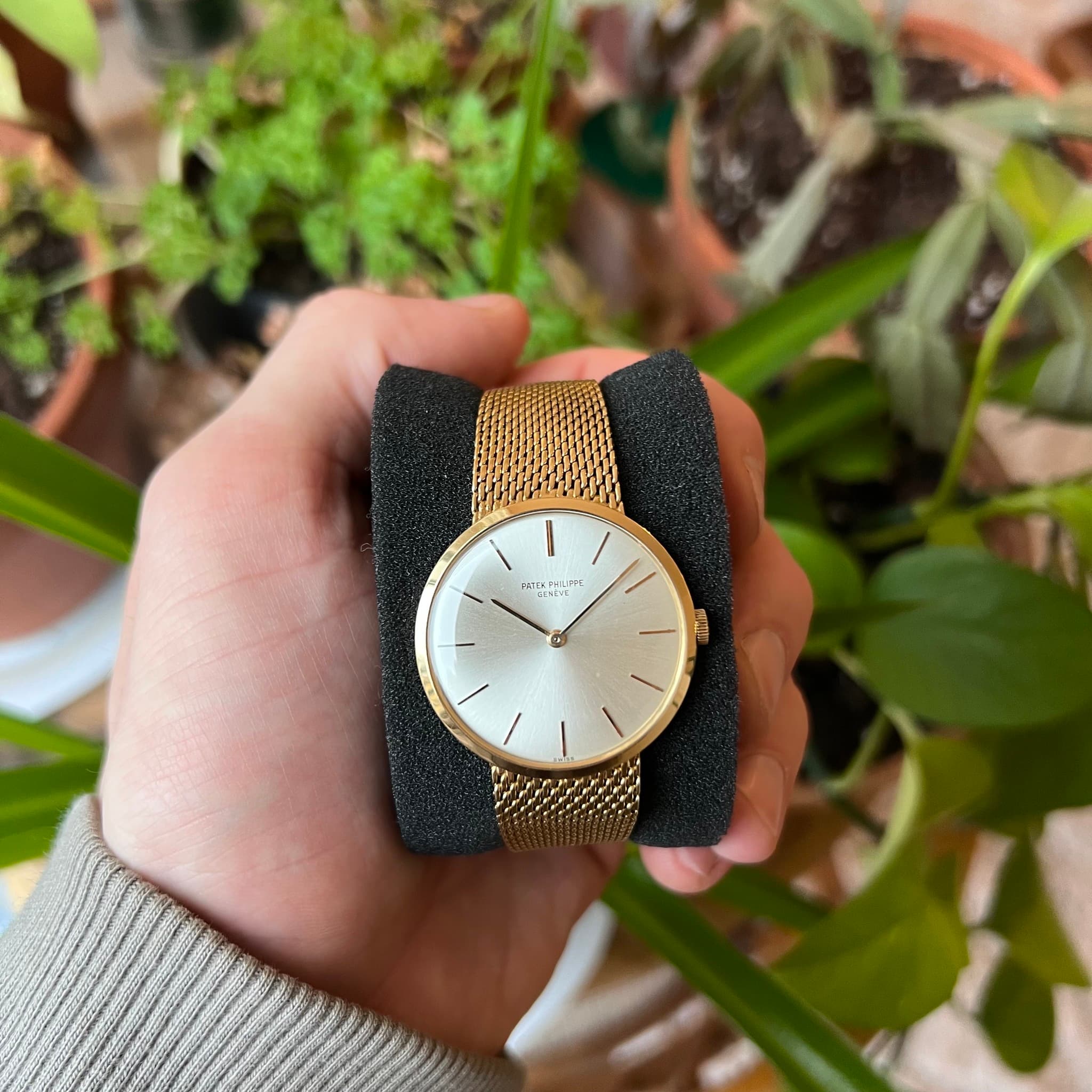 May be an image of wrist watch and leather