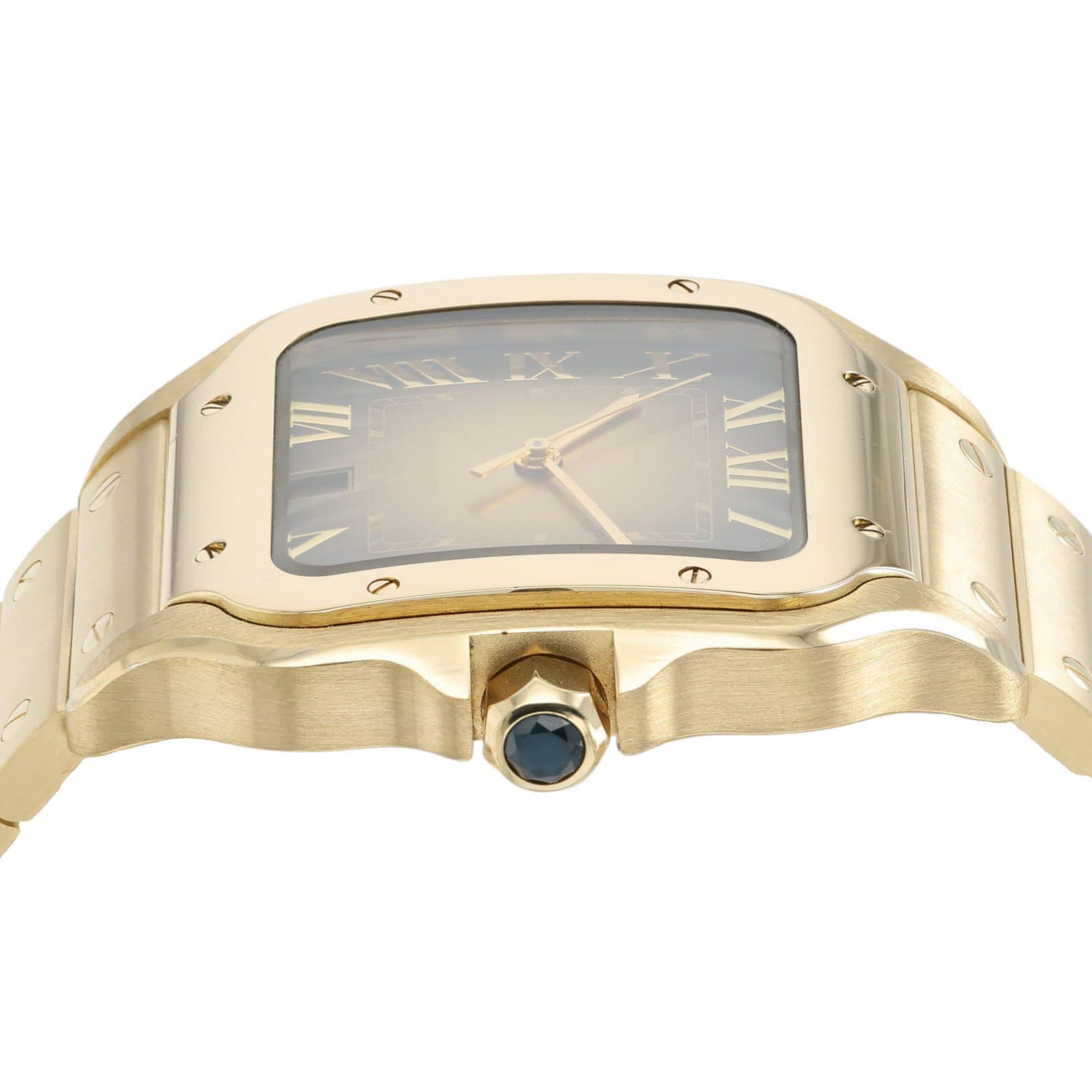 May be an image of wrist watch and text