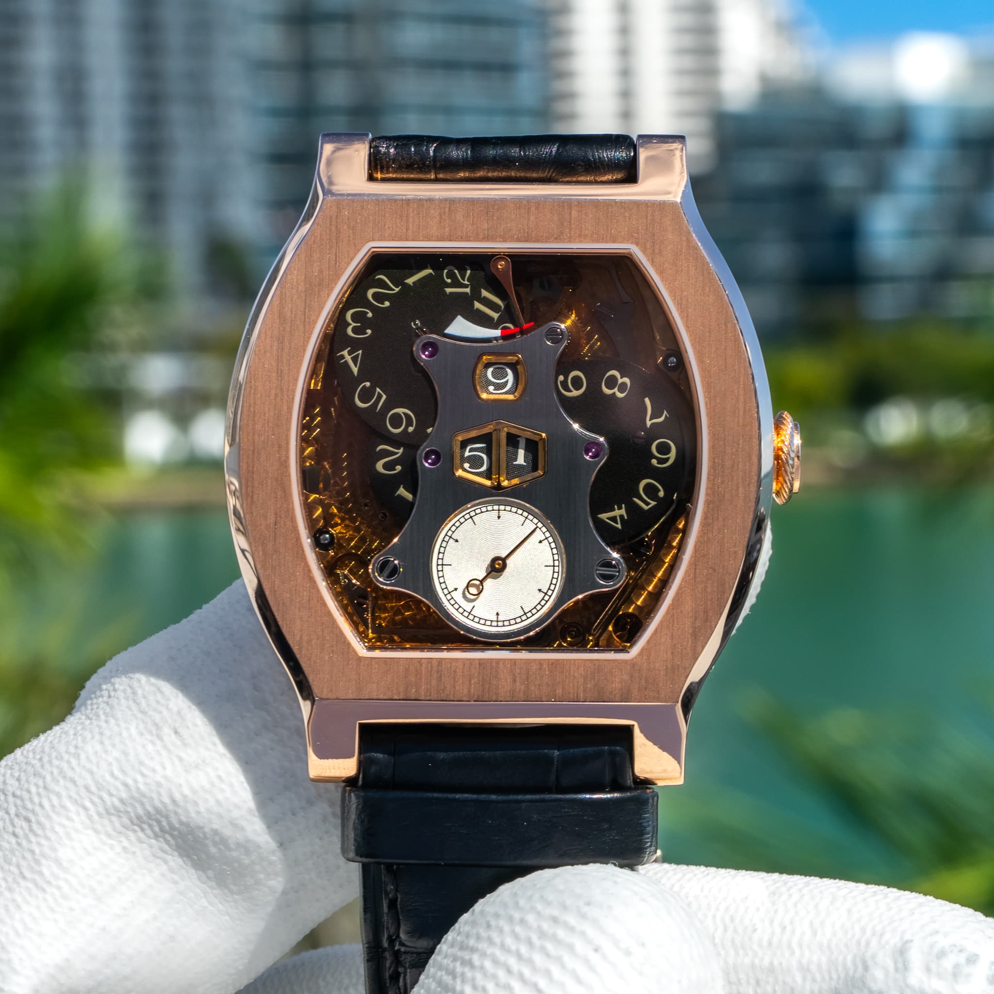 May be an image of wrist watch and text