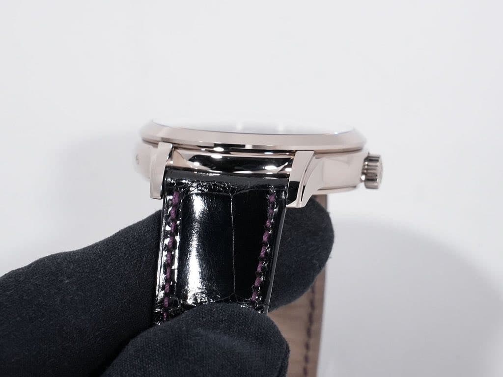 Patek Philippe World Time, photo 6