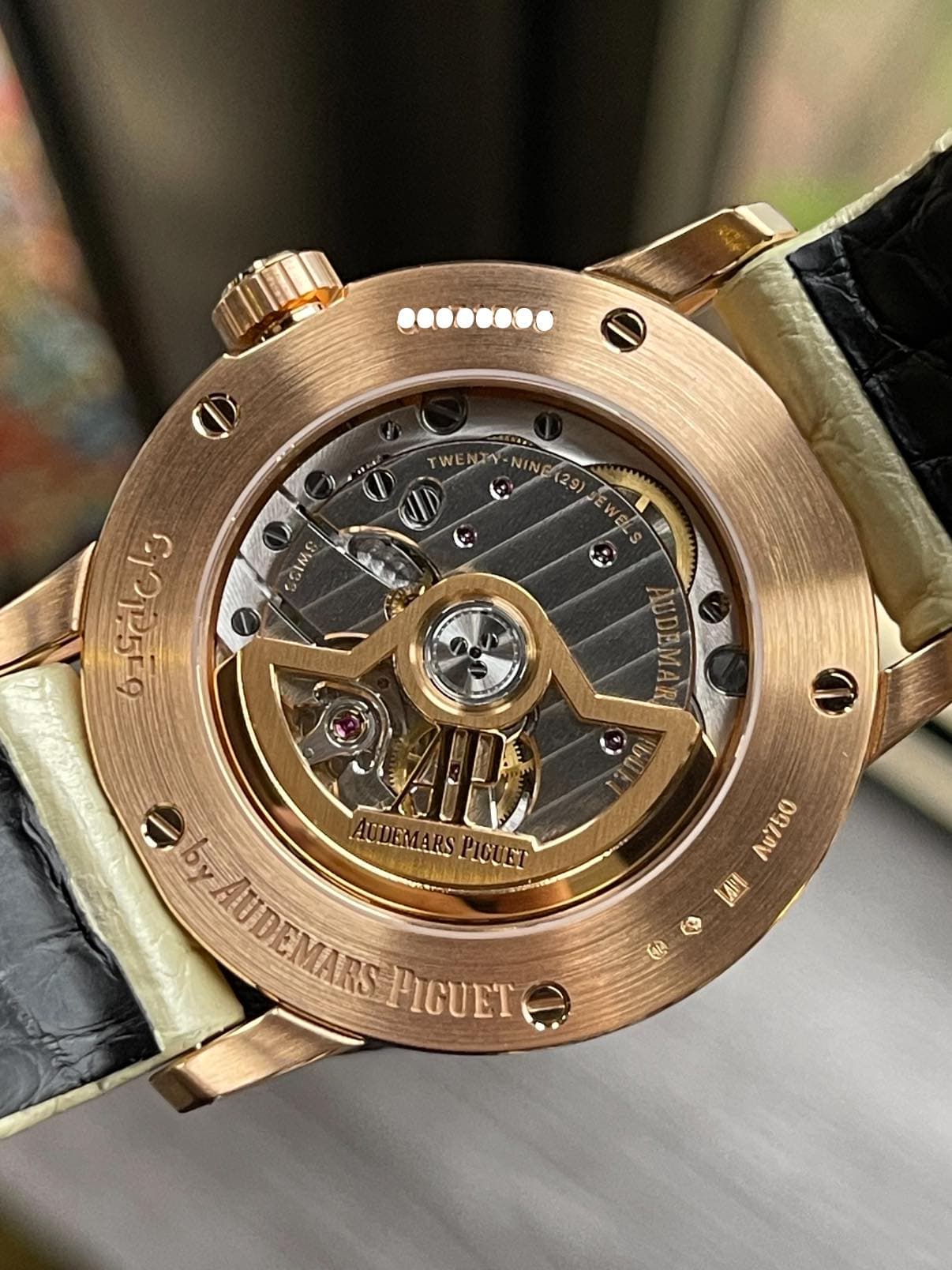May be an image of wrist watch and text that says 'M TWENT 1 NINE(2 29) orselolo SIMS O AUDEMAR 0 σα A0750 LPI S (12 AUDEMARSPGUET UDEMARS PICUET AUDEMARS'