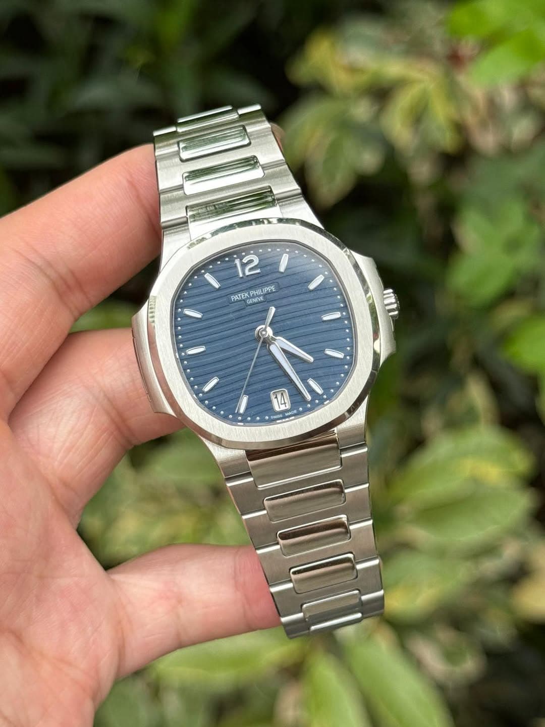 May be an image of wrist watch and text that says '12 i PATEK DENEVE PHAIPPE 14'