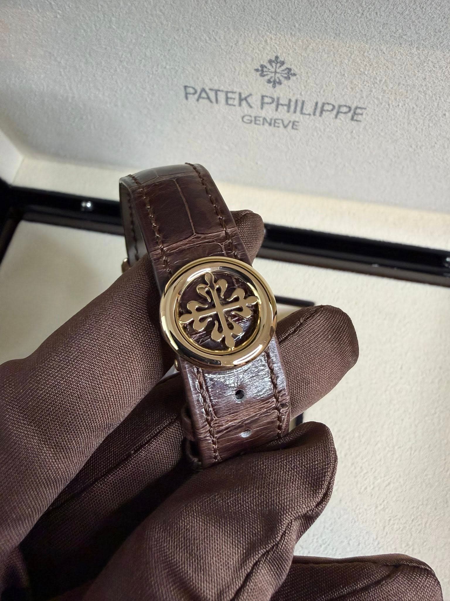 Patek Philippe World Time, photo 6