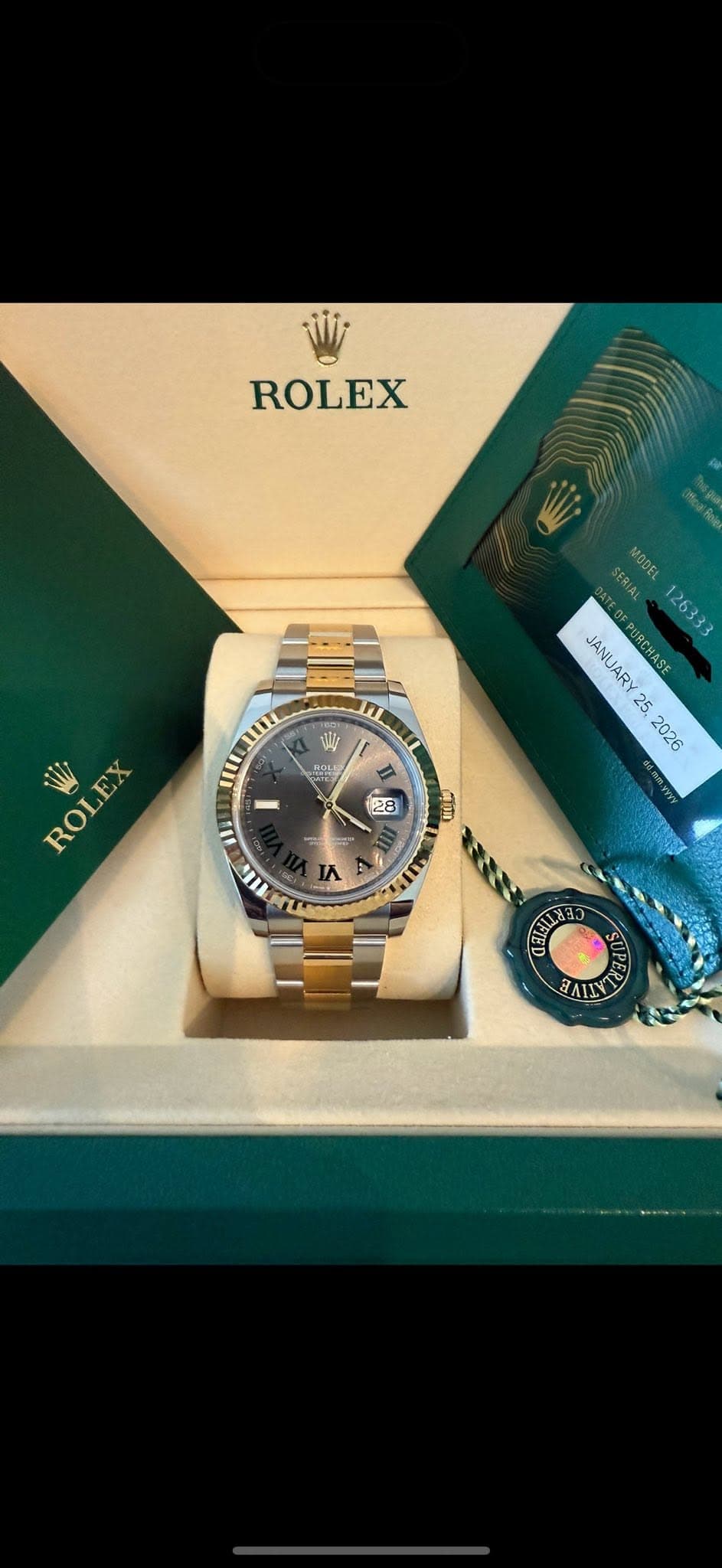 May be an image of wrist watch and text that says 'ROLEX 1.0%g MOSEL 126333 JANUARY 25 2026 税込. se F Mn Ⅱ 28 H 0 I ROLEX 集料 ΜΕνι り SF ECU TATN'