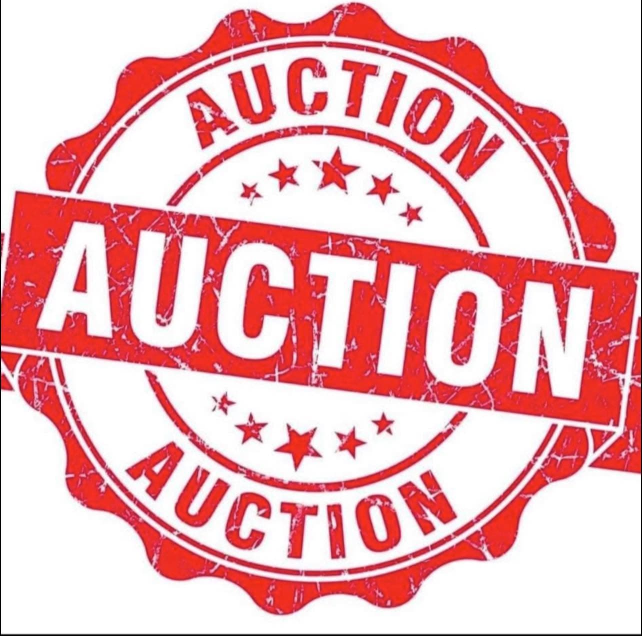 May be an image of text that says 'AUCTION AUCTION AUCTION'