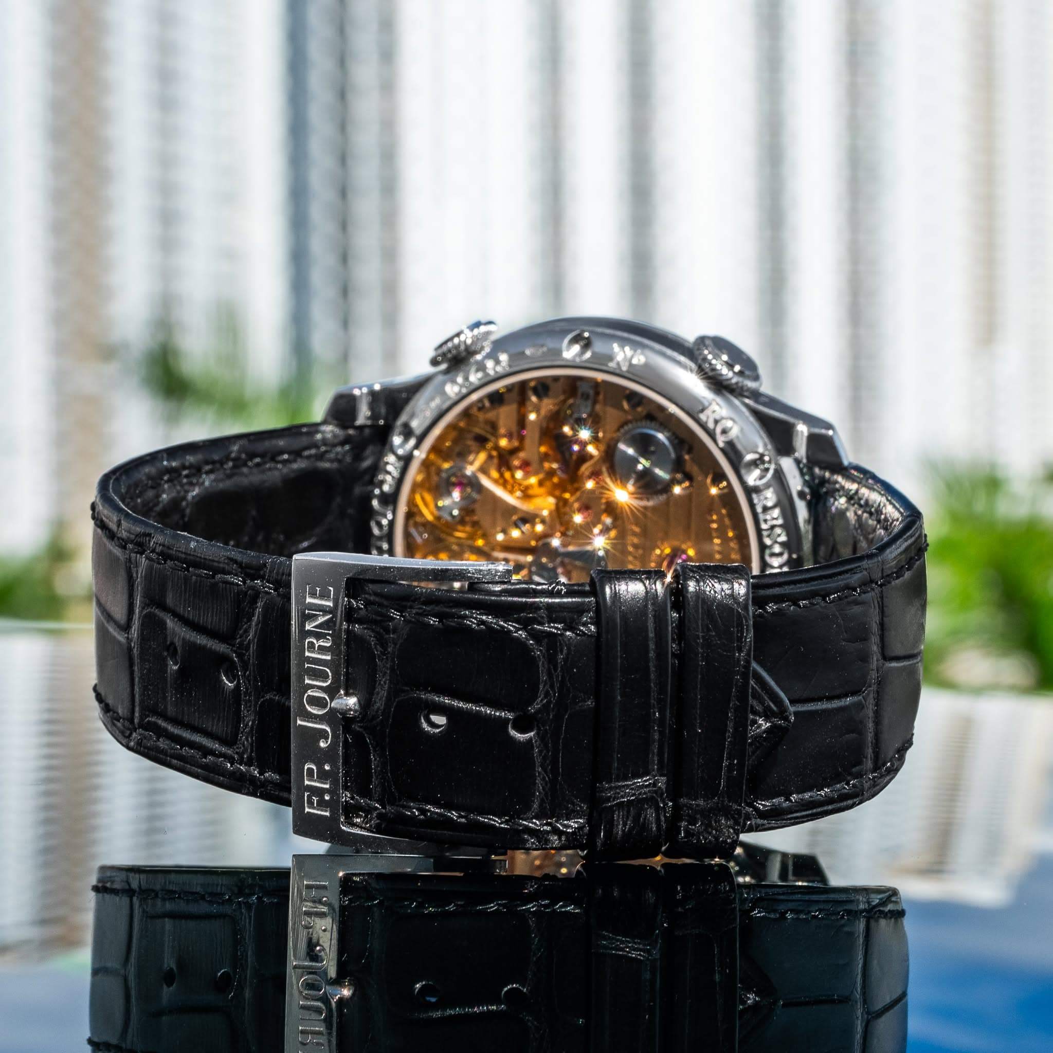 F.P. Journe Resonance, photo 4
