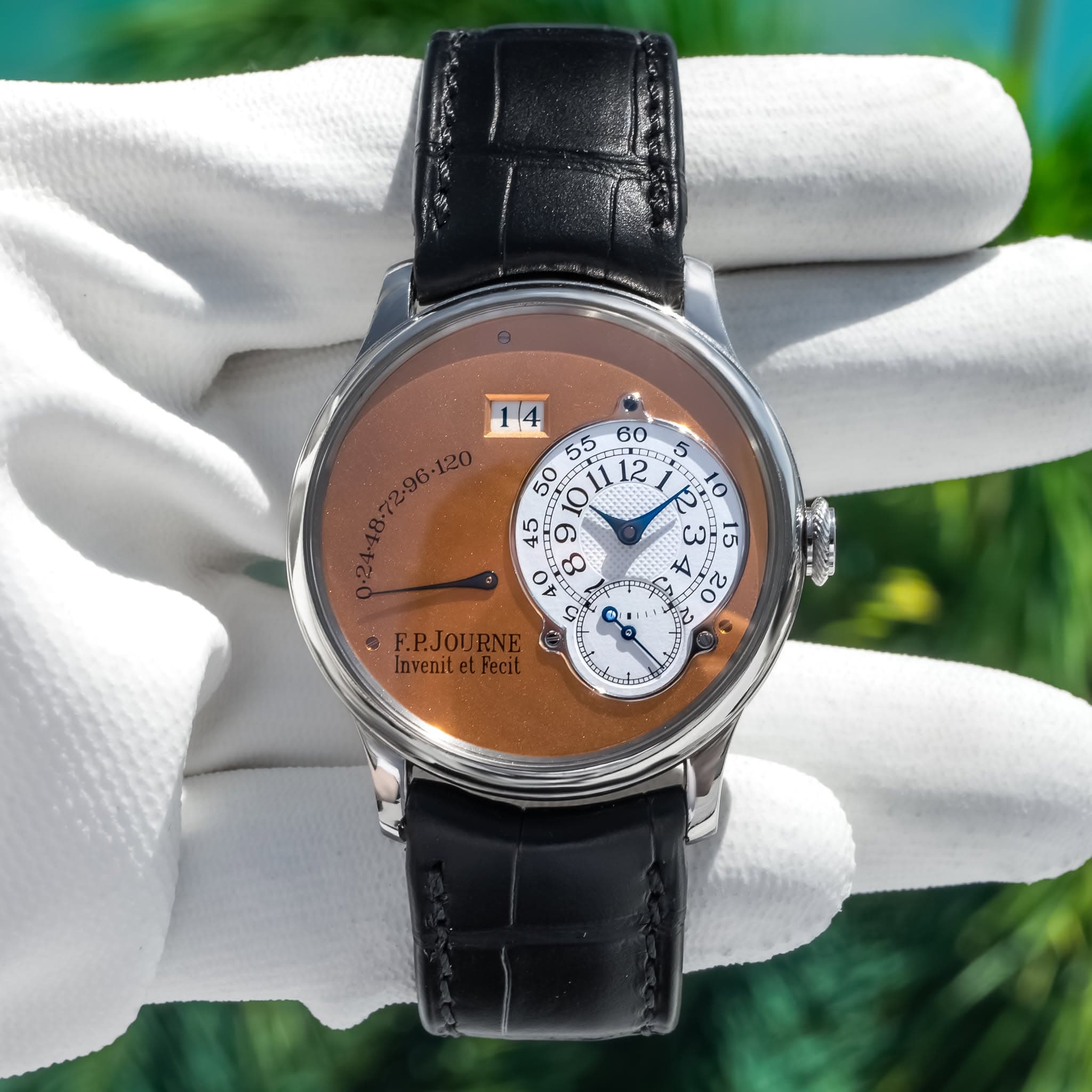 May be an image of wrist watch and text