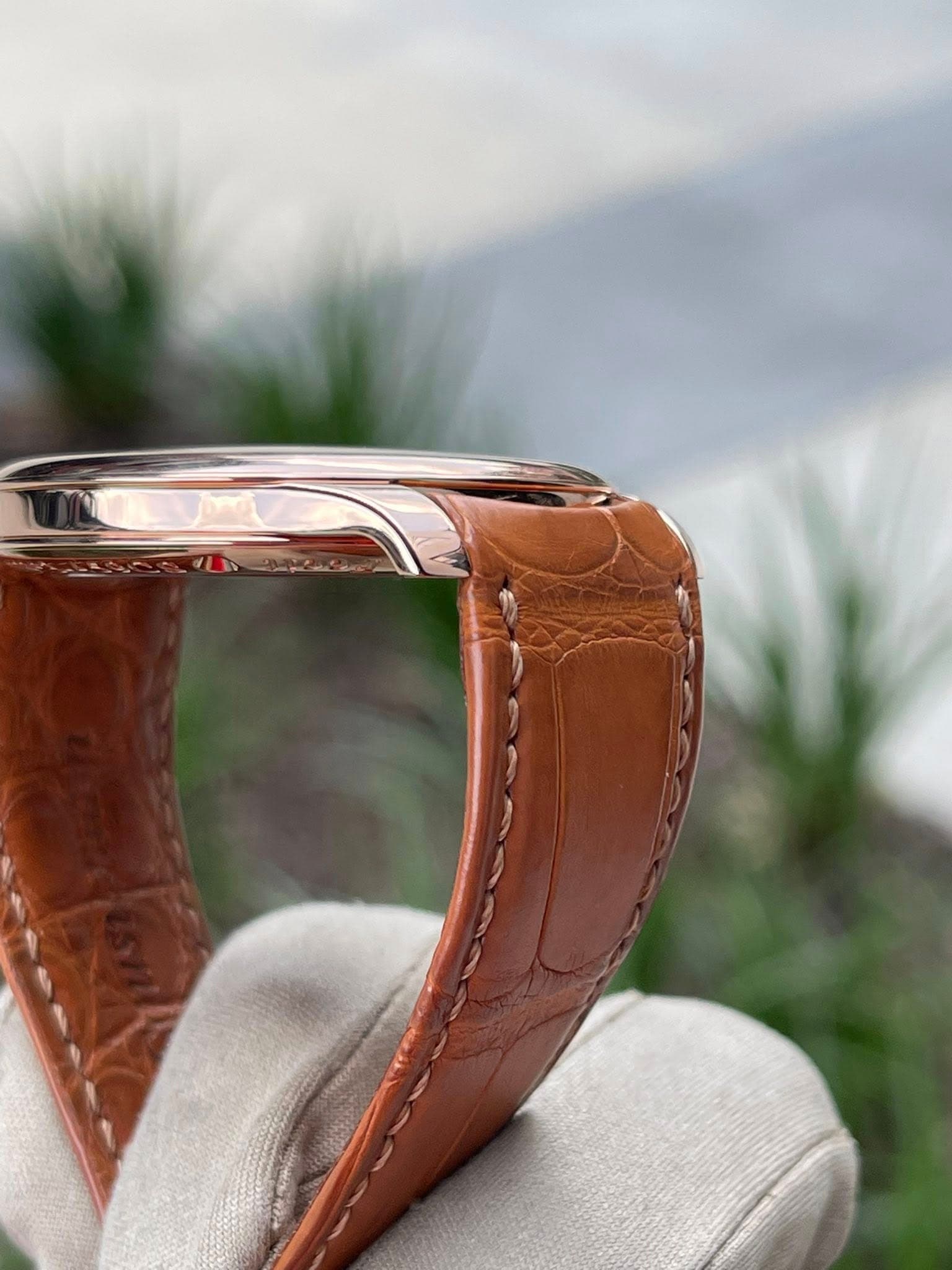 F.P. Journe Chronomètre Souverain