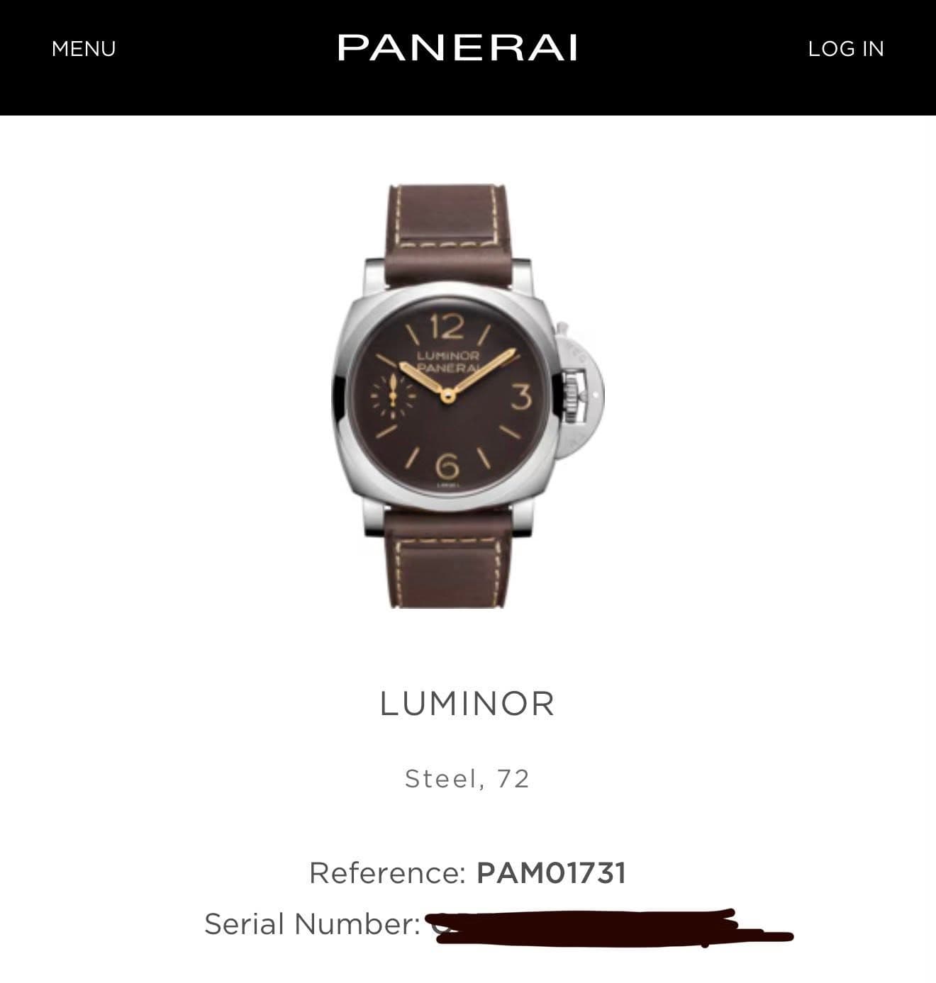 Panerai Luminor, photo 3