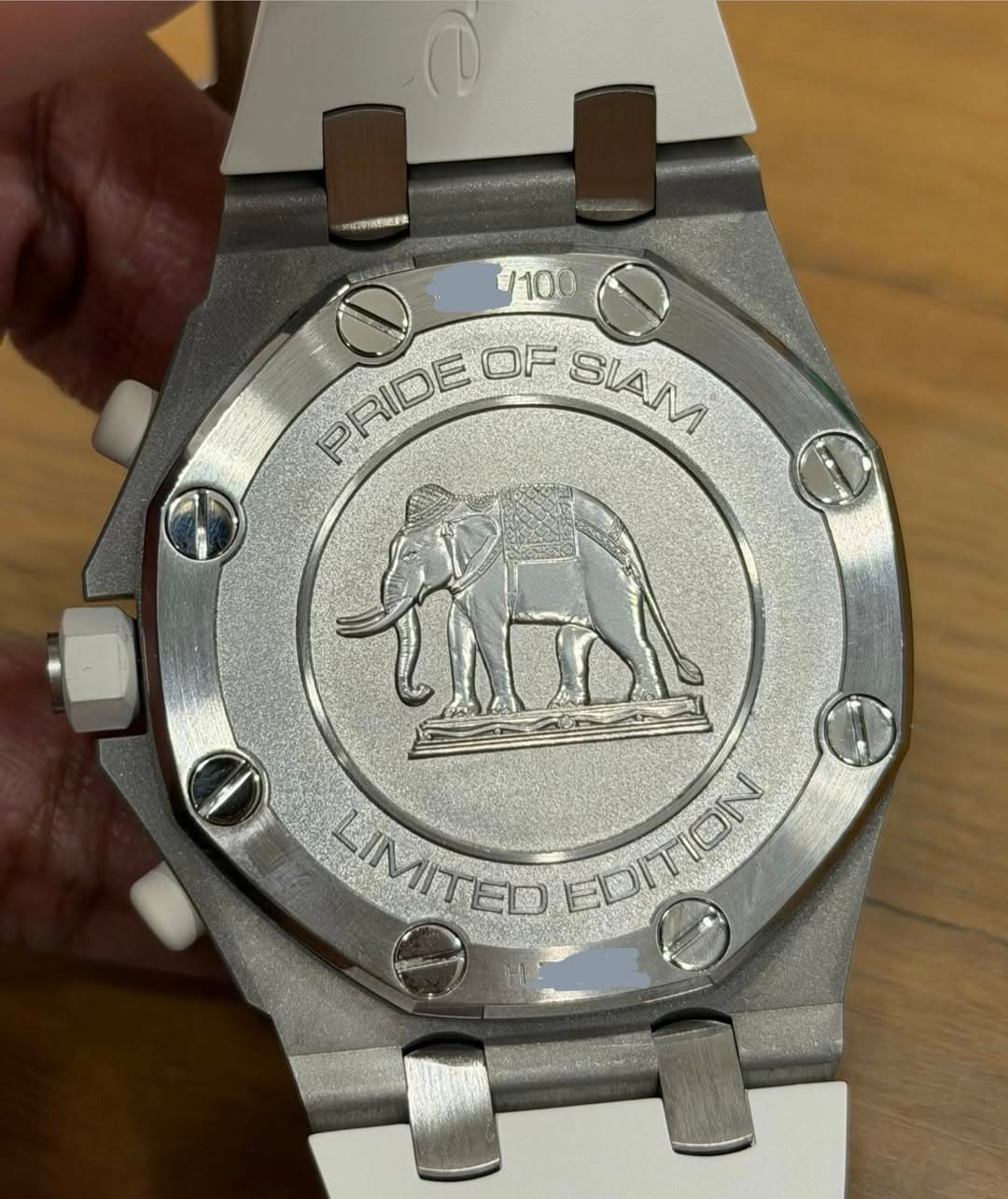 May be an image of elephant, wrist watch and text